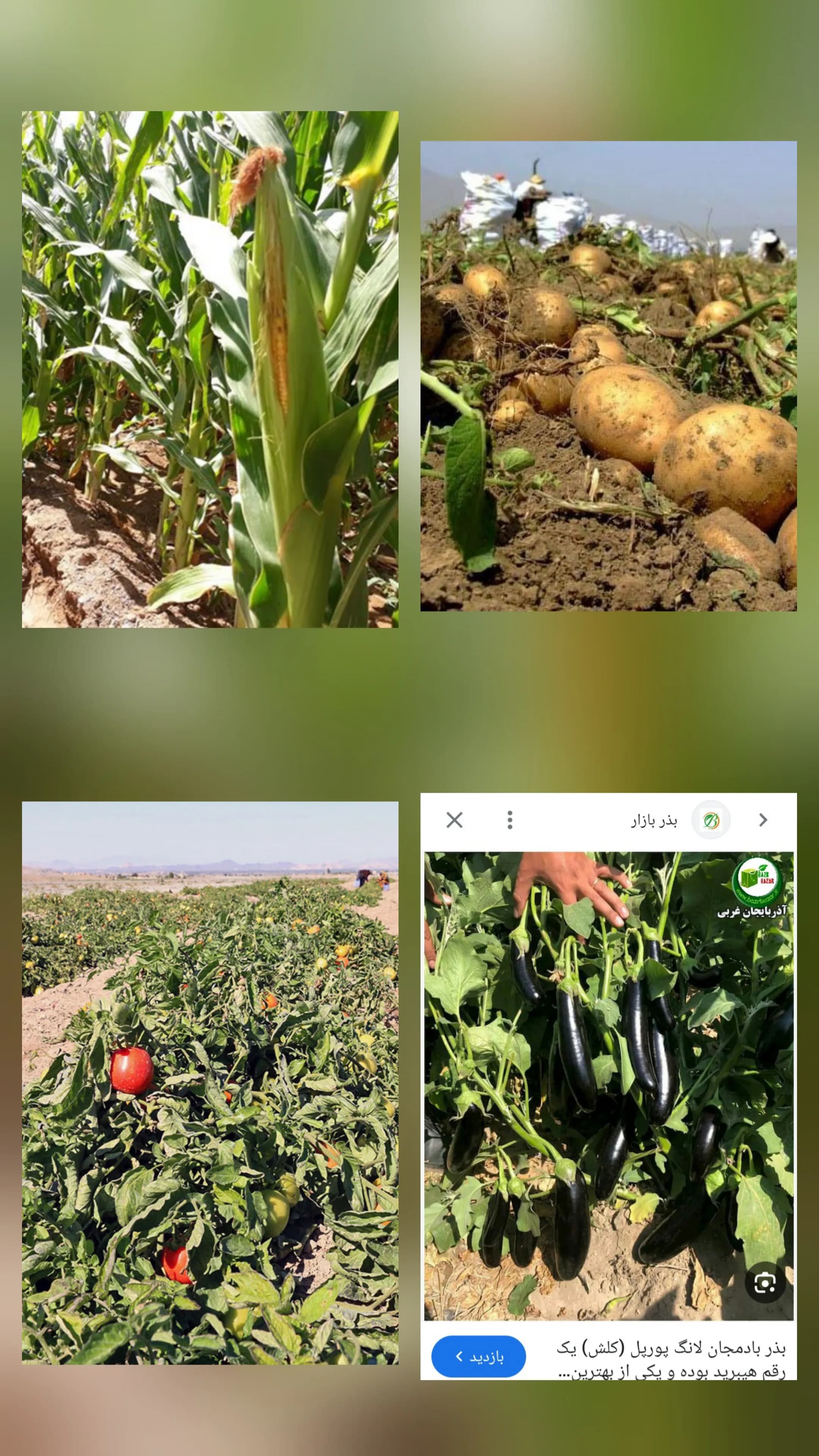 یک خاطره خوب از خدمت سربازی که از ان لذت میبرم و خوشحال میشوم