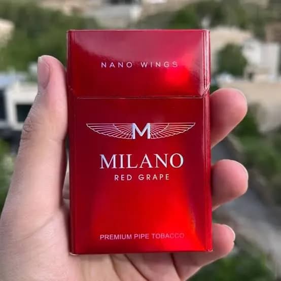sareh milano