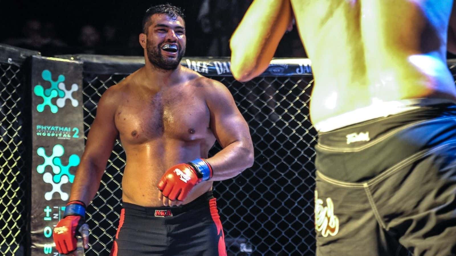 مسابقات MMA - رقابت های جهانی MMA