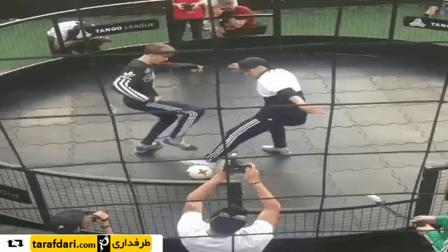 فری استایلر ها