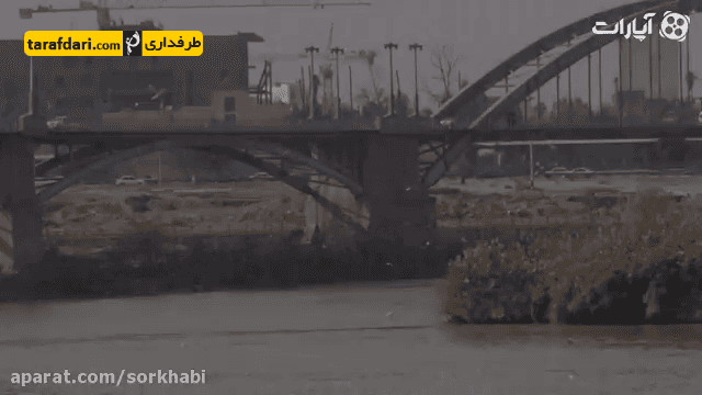 لیگ برتر ایران-جام خلیج فارس