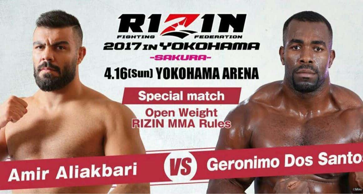 mma-هنرهای رزمی ترکیبی