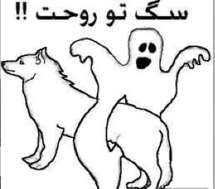 چالش توصیف کاربر داوید سیلوا:|