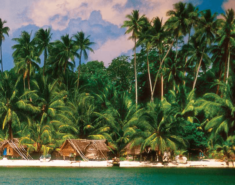 سرزمین شگفت انگیز پاپوا گینه نو