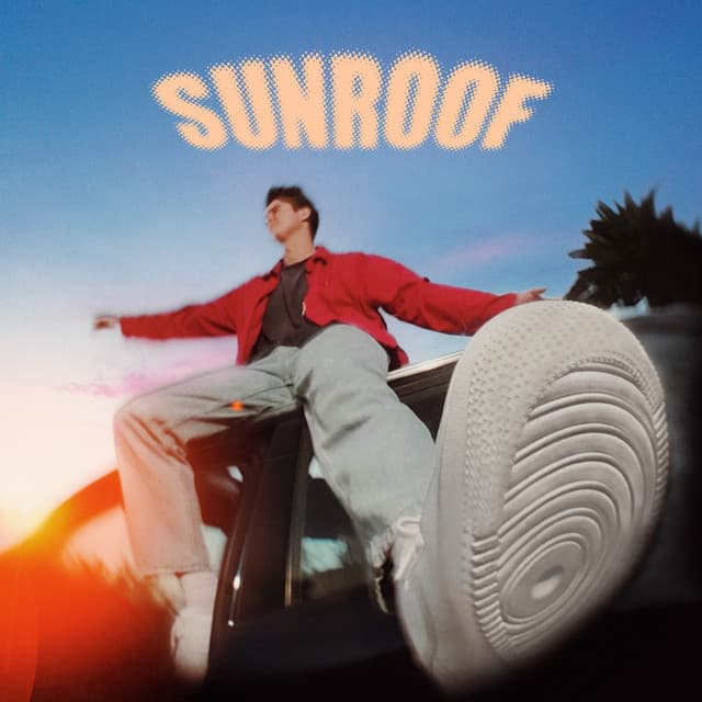 دانلود آهنگ Nicky Youre, dazy - Sunroof