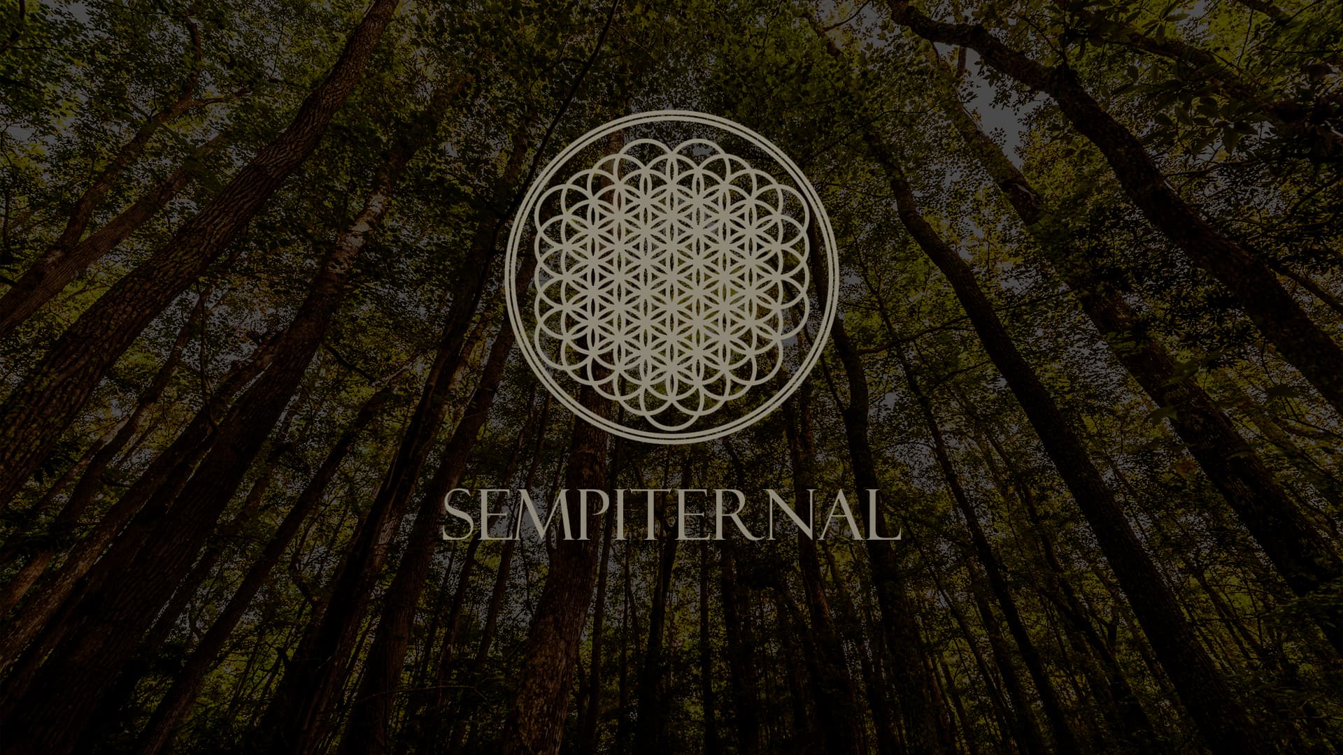 hospital for souls_bring me the horizon +lyrics با ترجمه