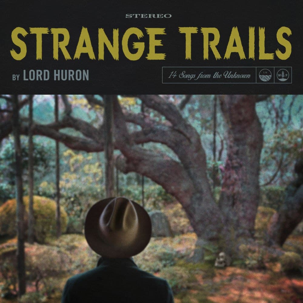 دانلود آهنگ Lord Huron - The Night We Met