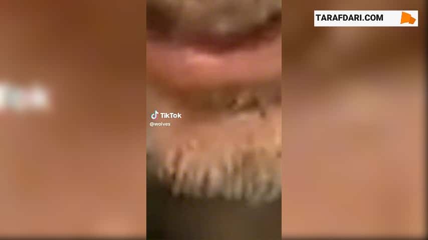 کنفرانس خبری پپ گواردیولا