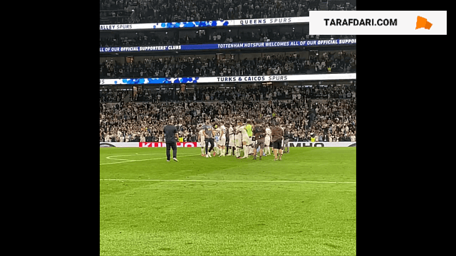 هواداران تاتنهام