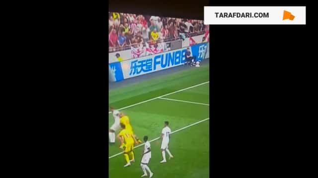 هوادار شفیلد یونایتد