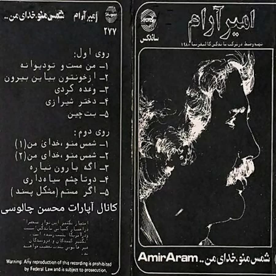 آهنگ دختر شیرازی با اجرای دلنشین امیر آرام