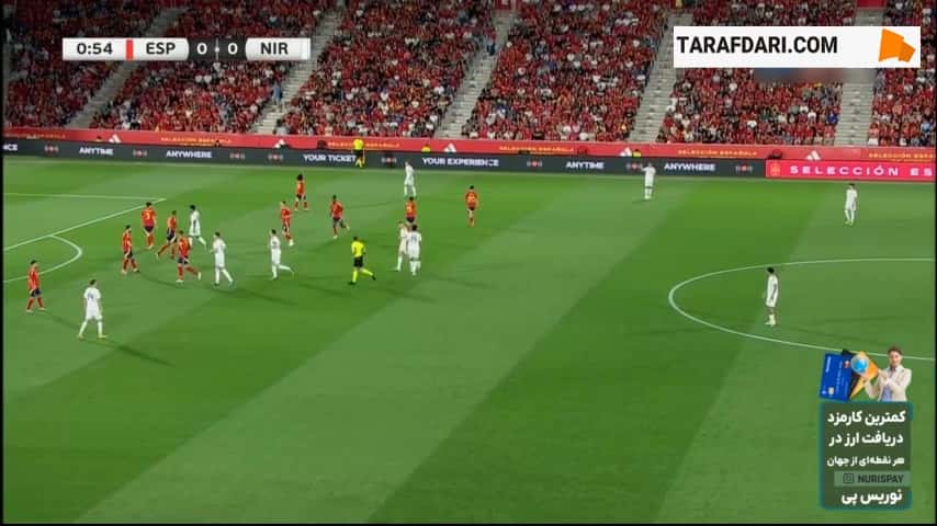 گل زیبای دنیل بالارد به اسپانیا (اسپانیا 0-1 ایرلند شمالی)