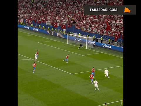 فران تورس