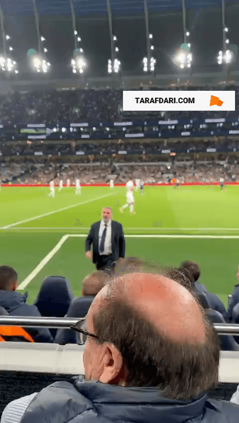 تاتنهام