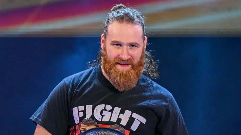 سمی زین، ستاره کشتی کج و WWE