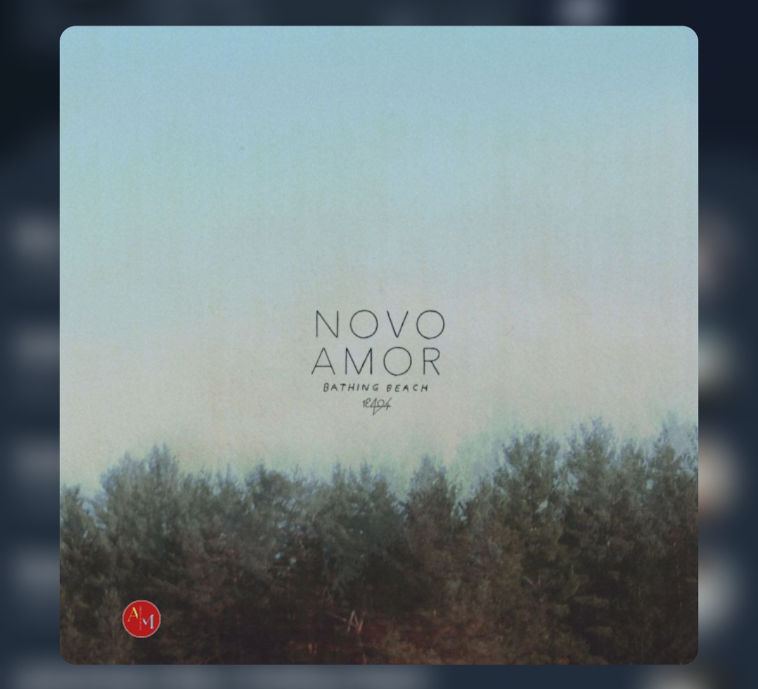 دانلود آهنگ Novo Amor - Anchor