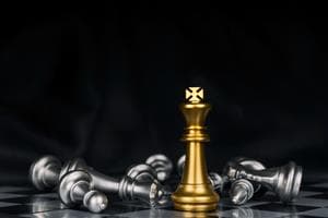 مسابقات شطرنج آنلاین طرفداری