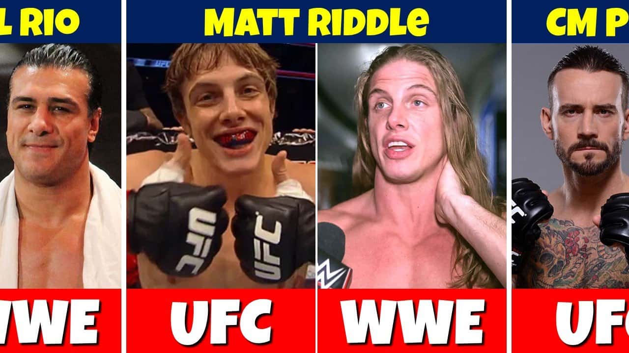 WWE - MMA - کشتیگیران - براک لزنر - راندا روزی - مت ریدل - بابی لشلی - باتیستا - سی ام پانک - UFC - سابقه-مبارزه - مبارزات-واقعی - کشتی-حرفهای