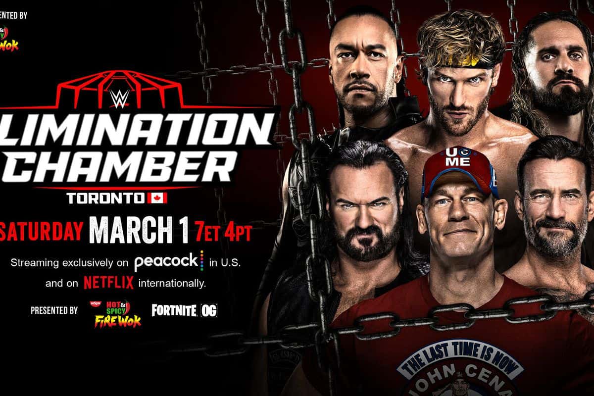 الیمینیشن چمبر - WWE - جان سینا - سی ام پانک - درو مک اینتایر - سث رالینز - الیمینیشن چمبر 2025