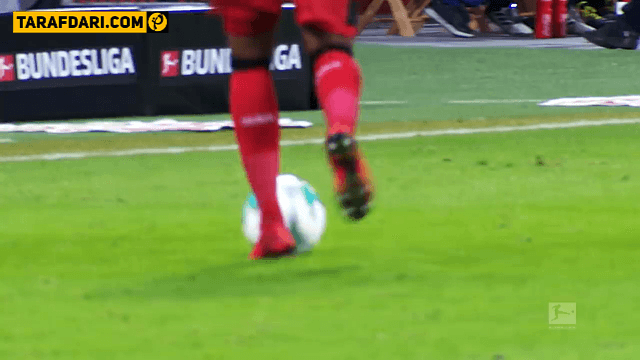 جامائیکا-بوندسلیگا-آلمان-بایرلورکوزن-Bayer Leverkusen