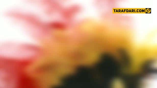میلاد محمدی - سرخیو راموس