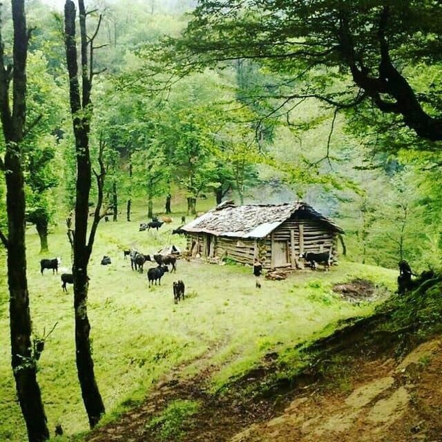 محیط زیست ایران در حال نابودی!