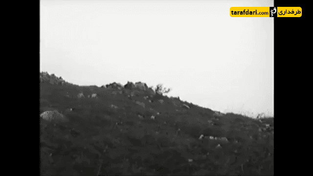 کرواسی - فرانسه
