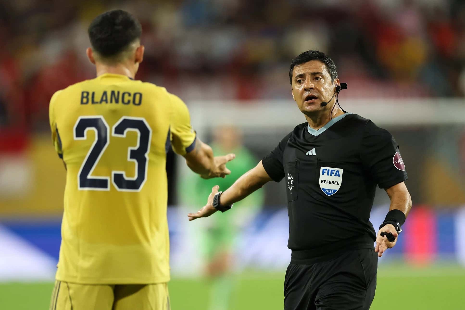 علیرضا فغانی - فوتبال ایران - داور