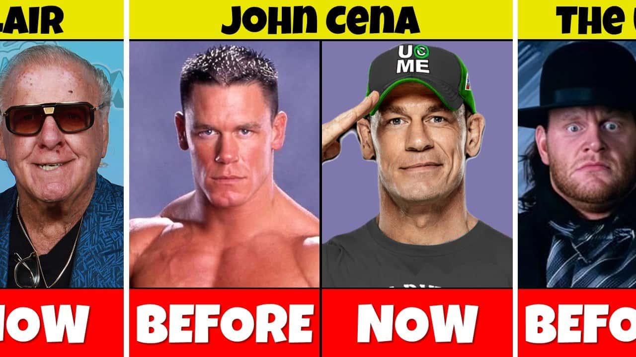 کشتیگیران WWE – ریک فلیر – جان سینا – آندرتیکر – ستارههای قدیمی WWE – تغییرات ظاهری – افسانههای کشتی کج