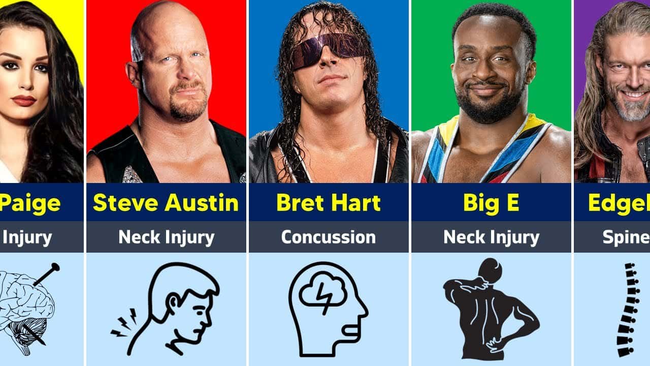 کشتیگیران WWE - برت هارت - استون کلد استیو آستین - اج - بیگ ای - پیج
