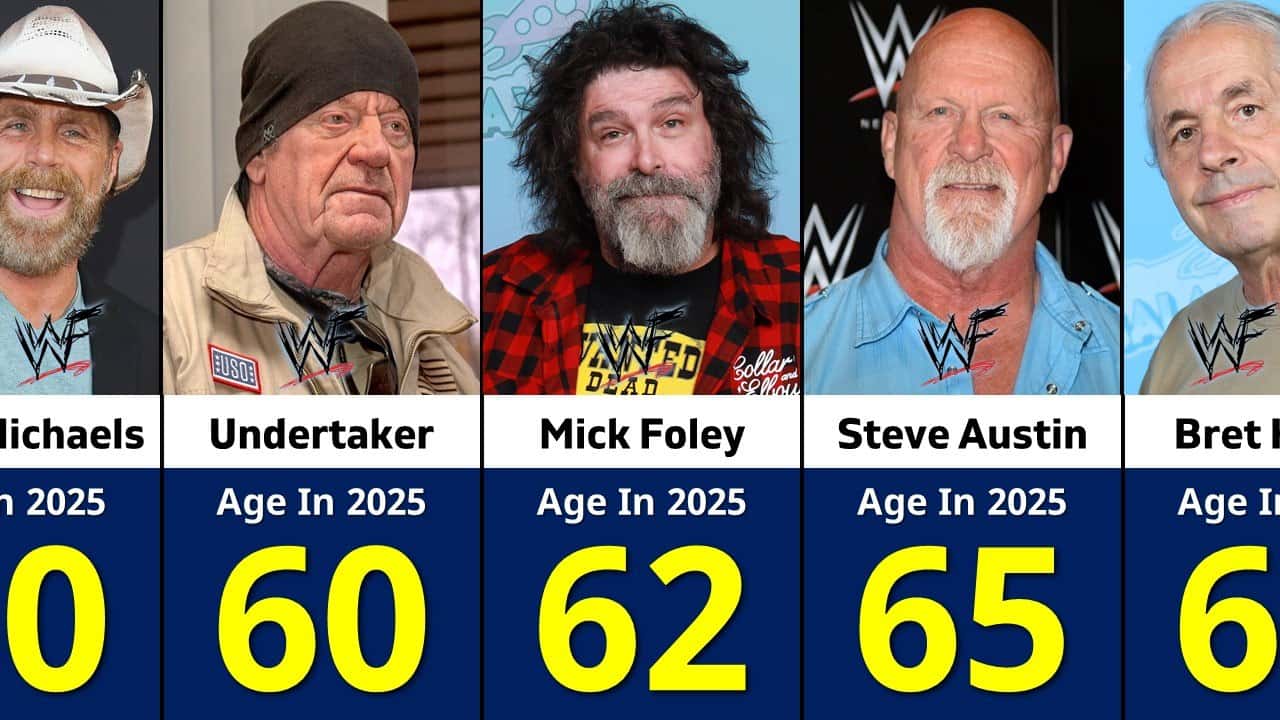 کشتیگیران WWE - آندرتیکر - شان مایکلز - برت هارت - استون کلد - میک فولی