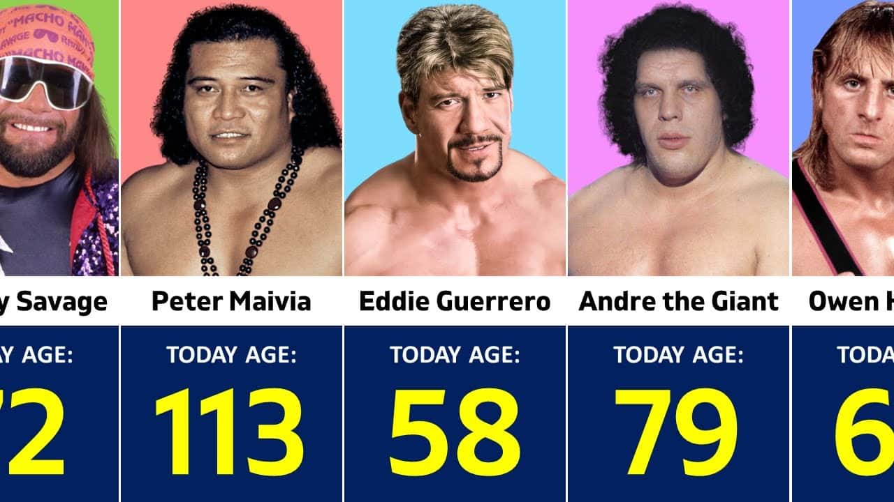 کشتیگیران فقید WWE - ادی گوئررو - آندره د جاینت - رندی سوج - پیتر مایویا - اوون هارت