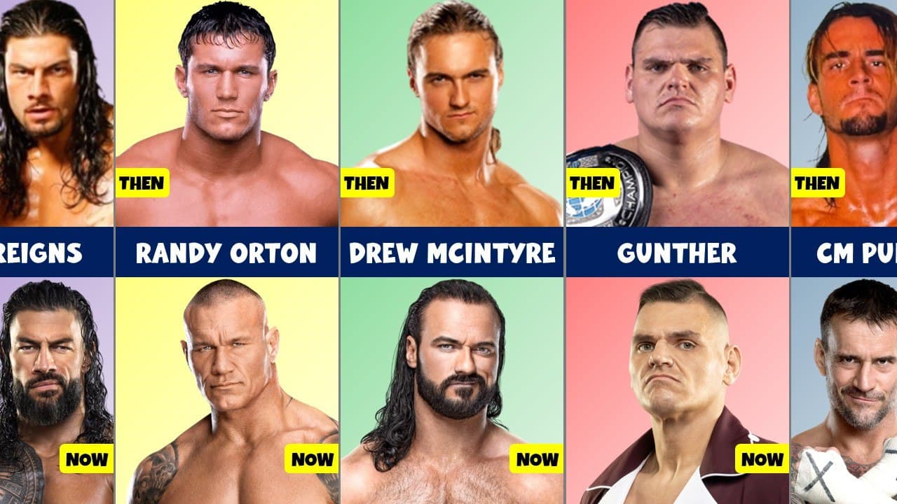 تغییرات کشتیگیران WWE - رندی اورتون - سی ام پانک - گونتر - رومن رینز - درو مک اینتایر