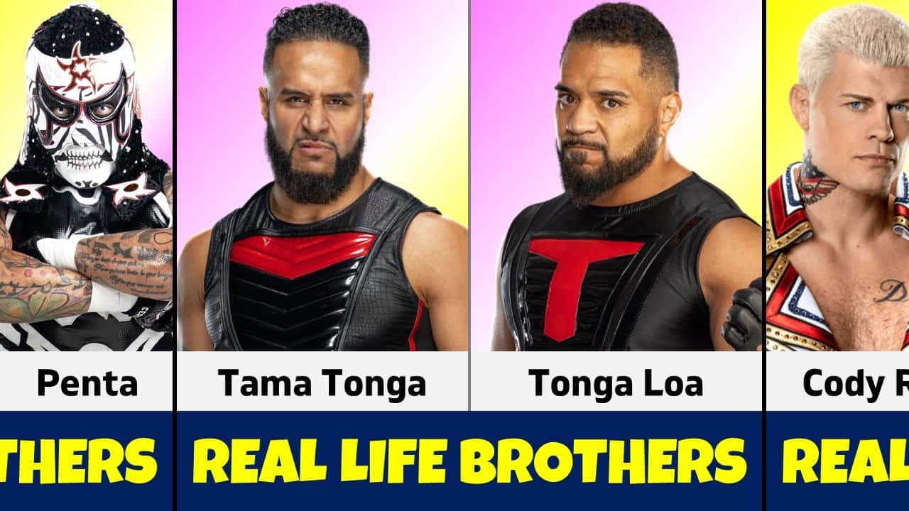 کشتیگیران WWE - کودی رودز - پنتا - تاما تانگا - تانگا لوآ