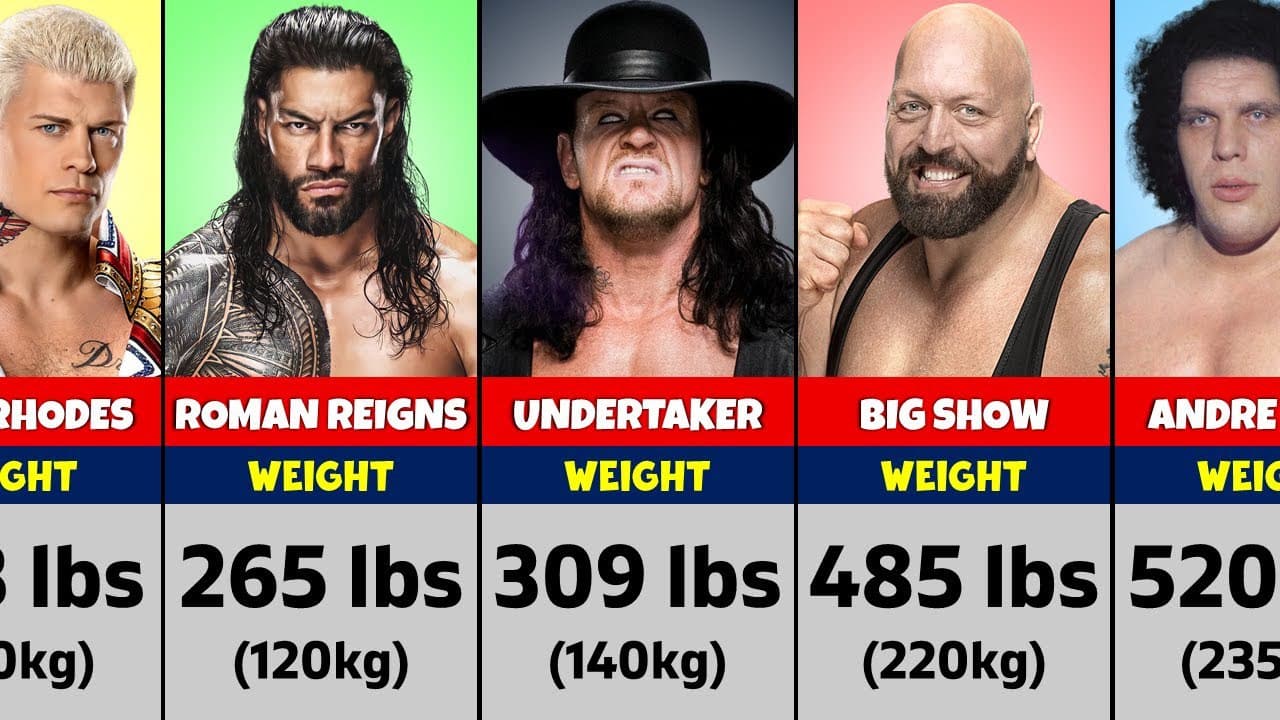 کشتیگیران WWE - آندرتیکر - بیگ شو - رومن رینز - کودی رودز - آندره د جاینت
