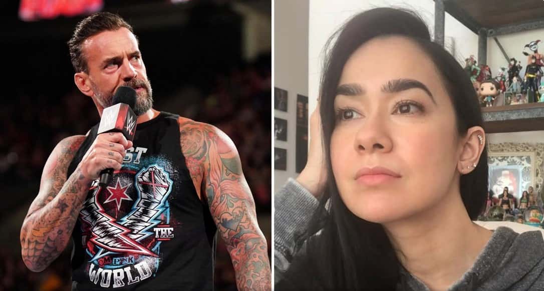 ای جی لی و سی ام پانک، ستارگان کشتی کج و WWE