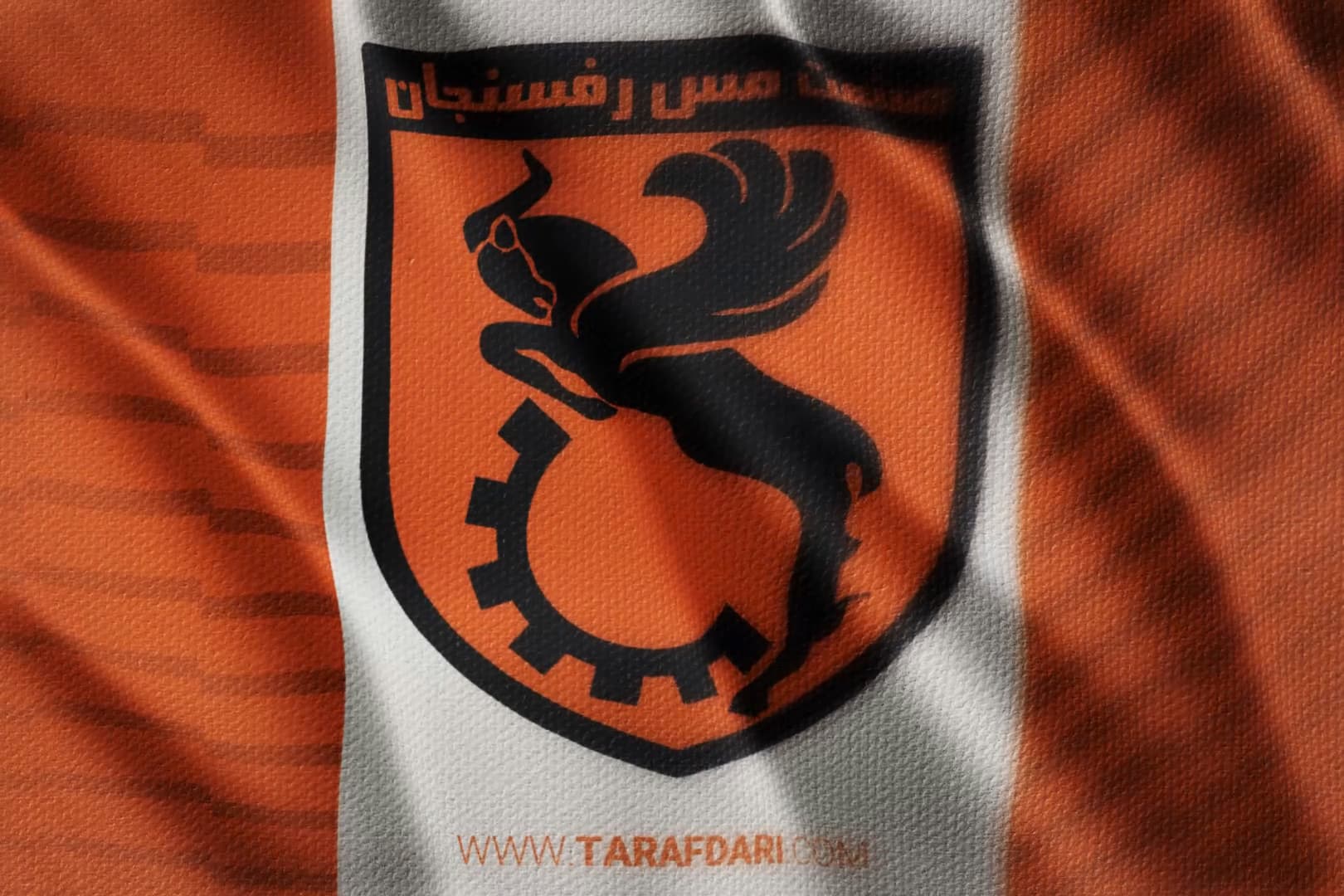 عکس از لوگوی مس رفسنجان - طرفداری