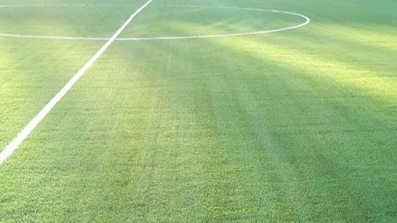 ورزشگاه آزادی-چمن هیبریدی