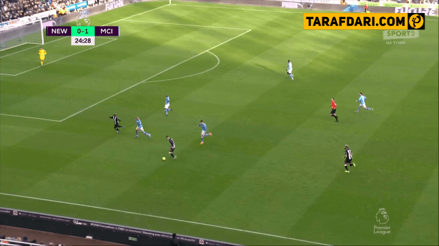 لیگ برتر-انگلیس-نیوکاسل-newcastle-هلند