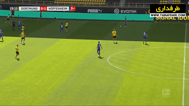 هوفنهایم / بوندس لیگا / آلمان / hoffenheim