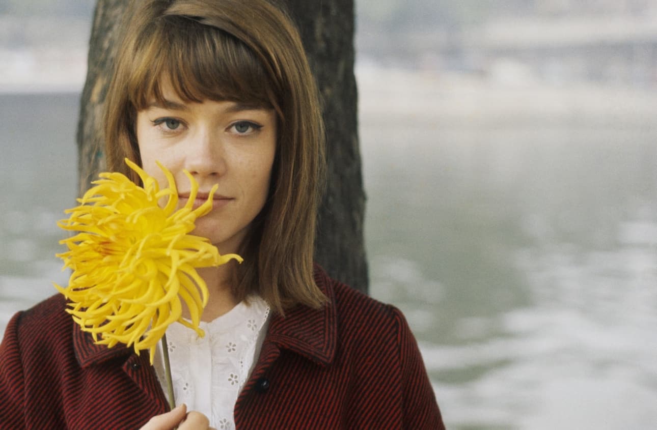 دانلود آهنگ فرانسوی Françoise Hardy - Mon Amie La Rose