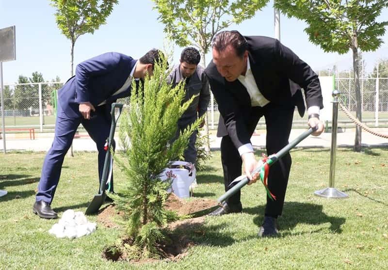 مجری تلویزیون در روز درختکاری؛ این شما و این درخت گران قیمت ویلموتس