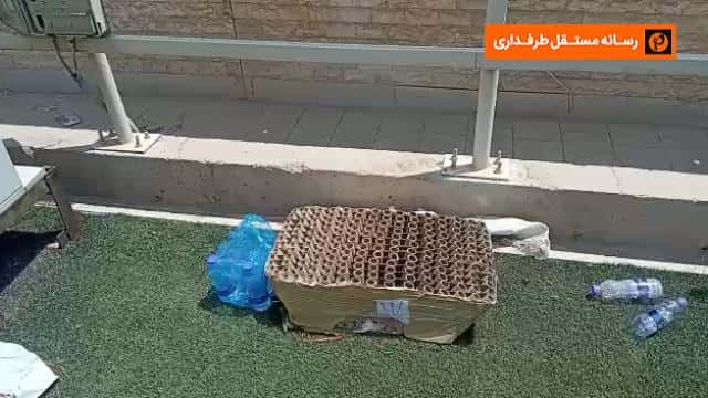 جام حذفی ایران