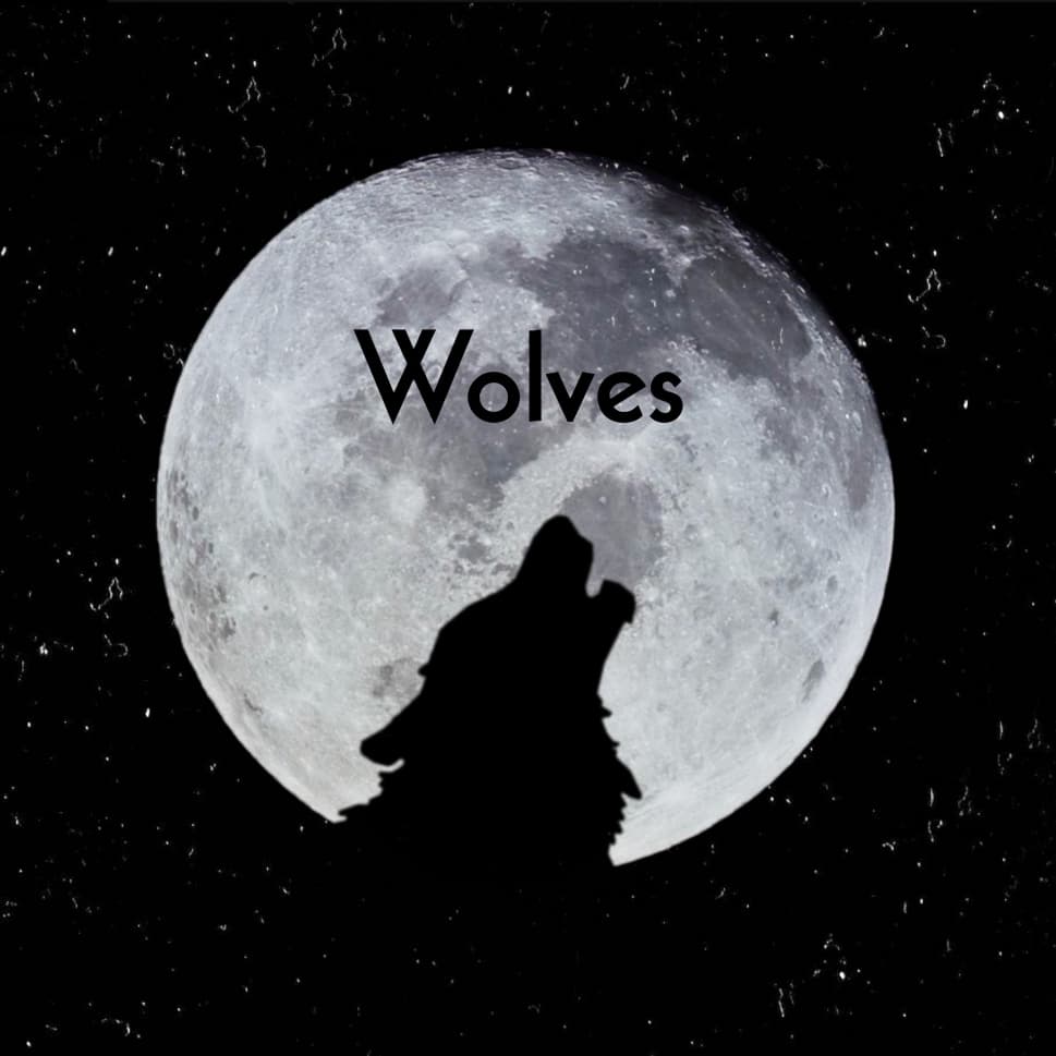 دانلود آهنگ Wolves از One Direction