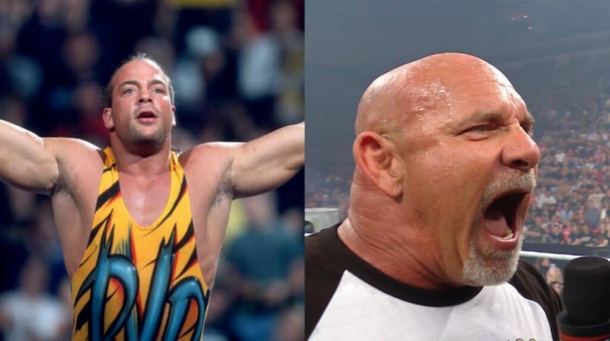 بیل گلدبرگ و راب ون دام، ستارگان کشتی کج و WWE