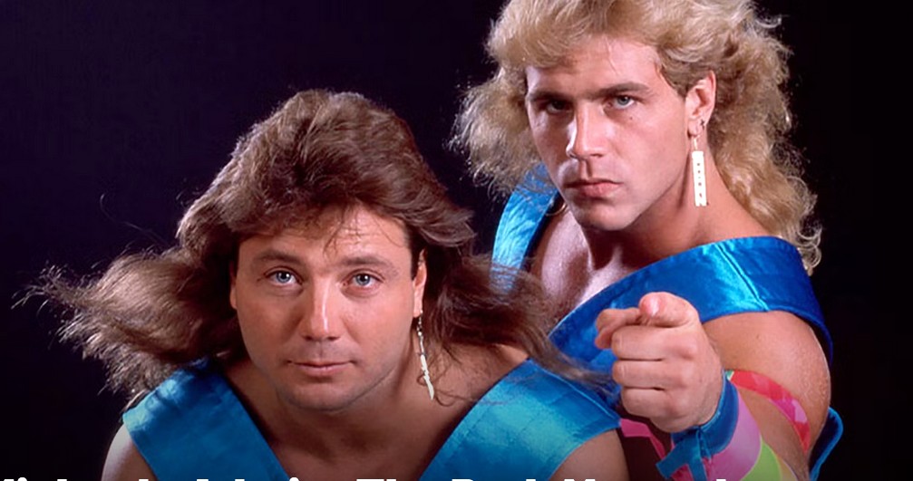 شان مایکلز و مارتی جنتی، ستارگان کشتی کج و WWE