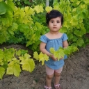 تصویر بهمن داور