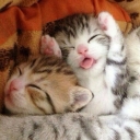 تصویر Fernando Redondo