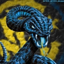 تصویر Ario INT-SS