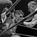 تصویر Alireza D_031